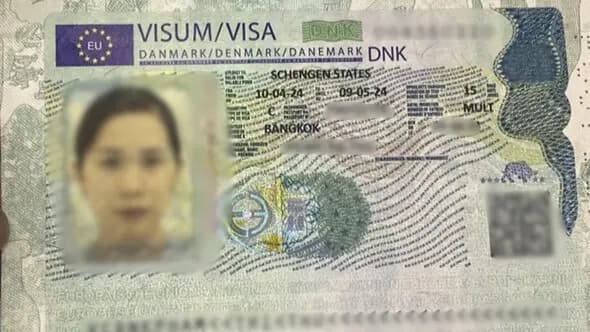 Kết quả Visa Đan Mạch do Visa Viettin hỗ trợ